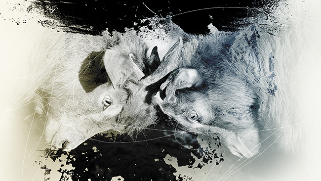 Titelbild des Beitrags